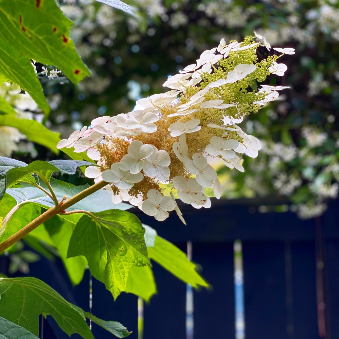 0f998f1b-5fb6-48b0-b71d-6379301300bd