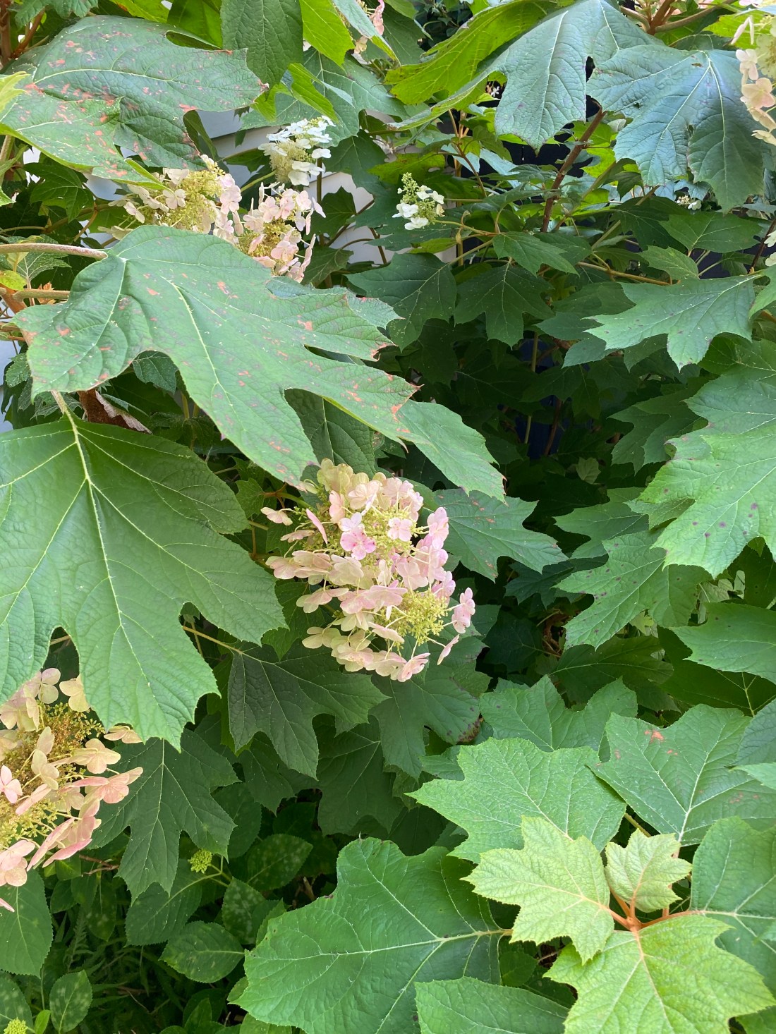 61133696614__03a71009-5247-4d18-9c45-bac987771635