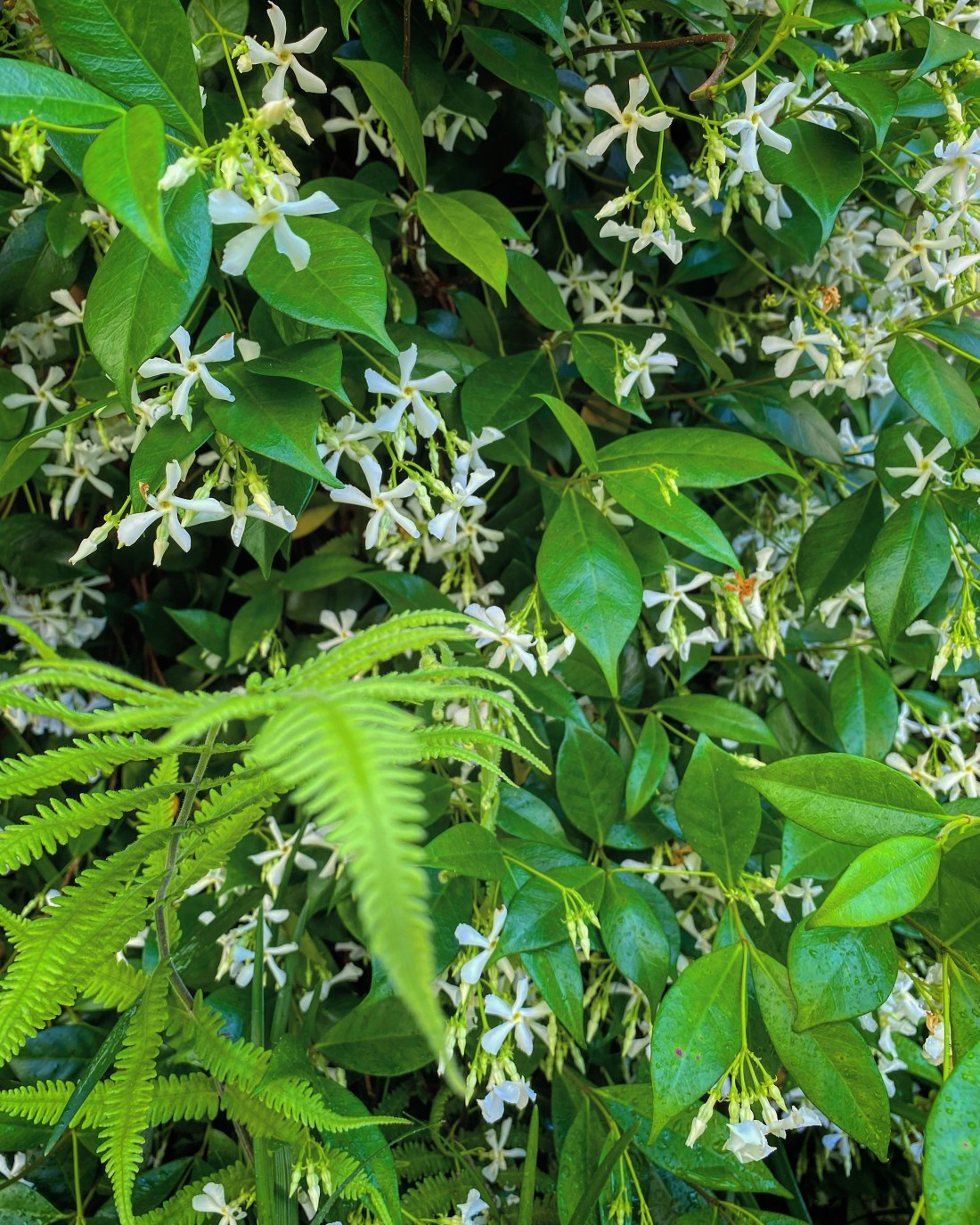 da8f45c4-ae43-4e0c-9d37-2b0e50310bfc